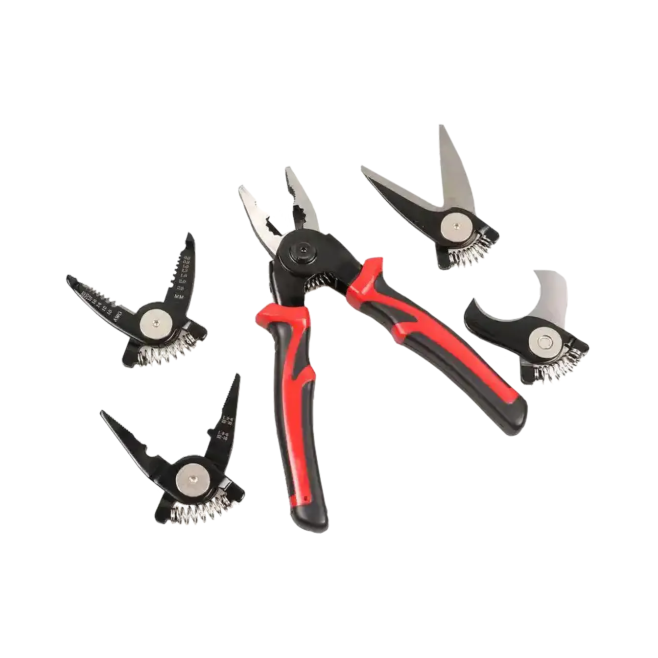 �������������������� ���� ������������ ����������� 5 � 1