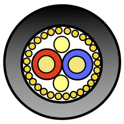 ̳�������� ������ Belden 70040