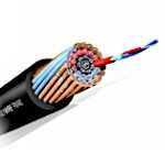 ������������ ����������