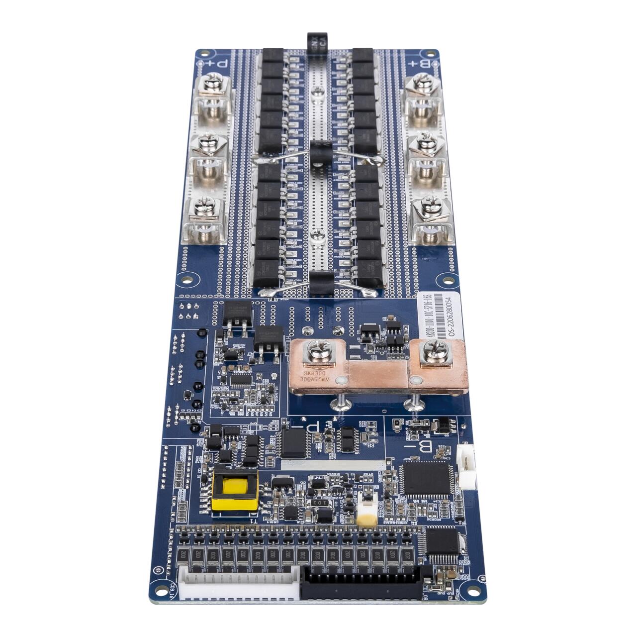 BMS ����� LiFePO4 24V 8S Dis 200A Ch 100A LCD