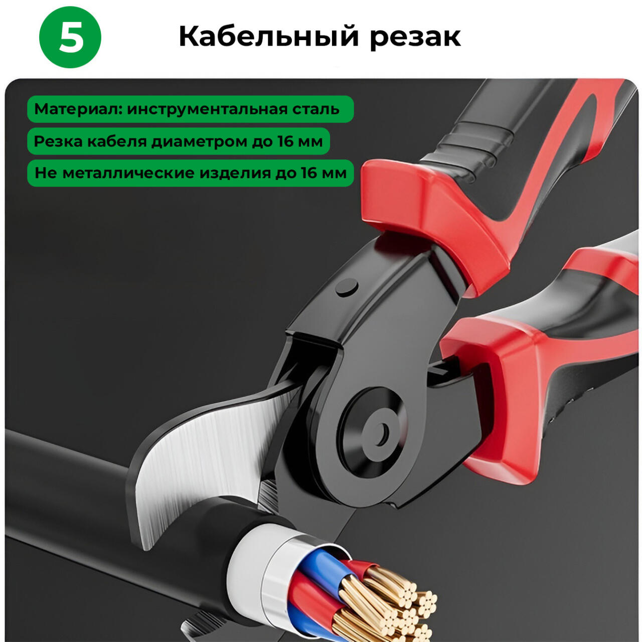 �������������������� ���� ������������ ����������� 5 � 1