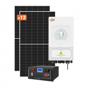 ������� �������������� (���) ������ Deye 6kW ��� 6kWh LiFePO4 100 Ah