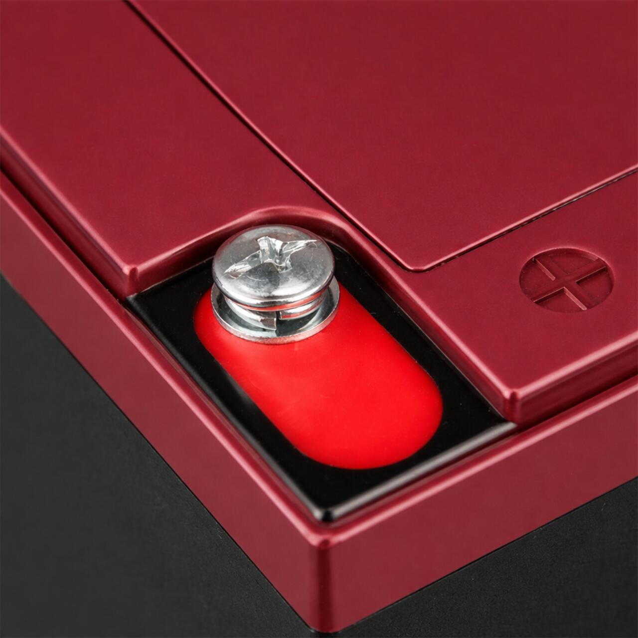 ������� ��������-��������� ���������� LP 6-DZM-12 Ah - ��� ���� �5